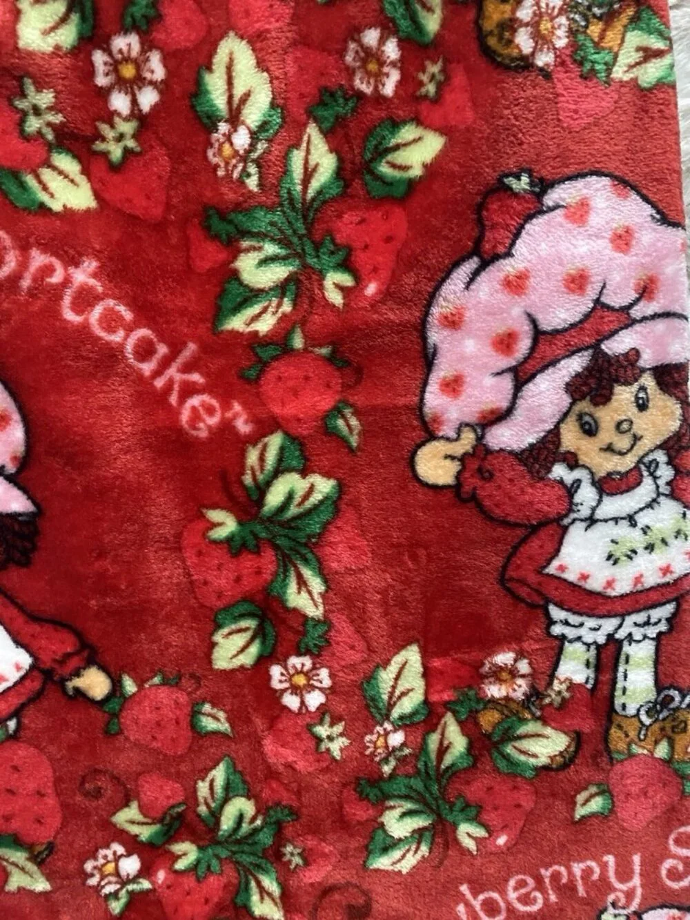 Strawberry Shortcake 50” X 70” Soft Plush Soft Throw Blanket Red Flowers‎ NEW